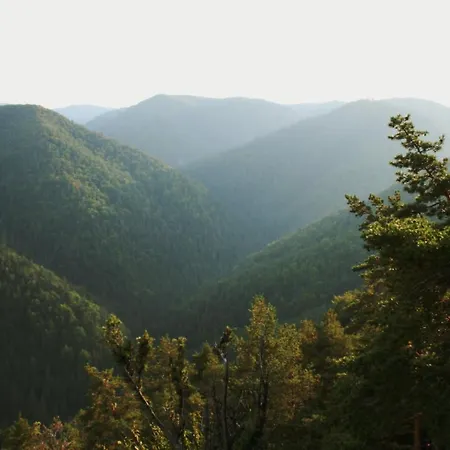 čákyho Kúria - Mezonetový S Krbom A Saunami *