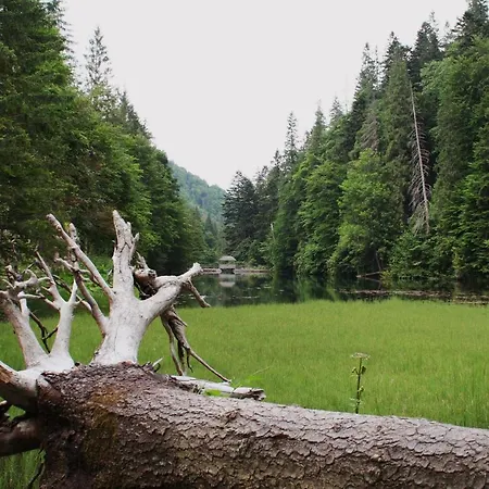 čákyho Kúria - Mezonetový S Krbom, Fínskou A Infrasaunou
