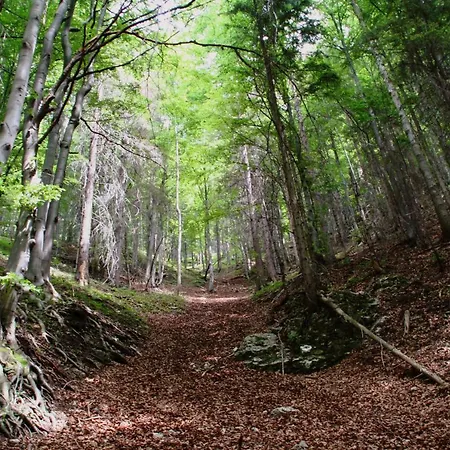 čákyho Kúria - Mezonetový S Krbom A Saunami
