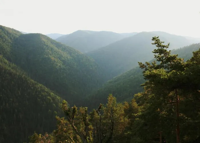 Cakyho Kuria - Mezonetovy S Krbom A Saunami *