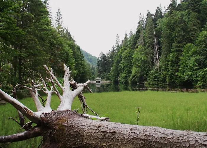 Cakyho Kuria - Mezonetovy S Krbom A Saunami