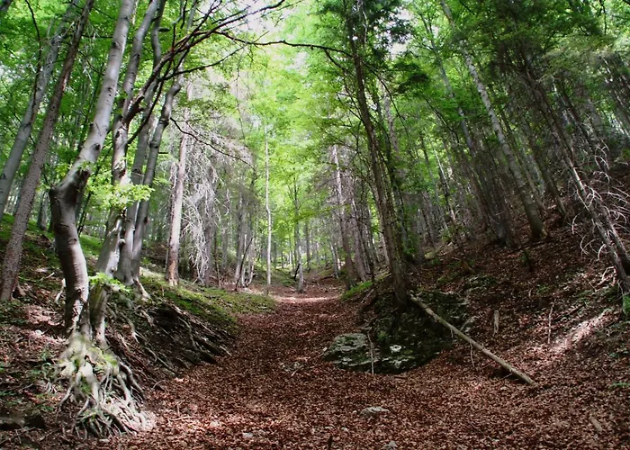Cakyho Kuria - Mezonetovy S Krbom A Saunami